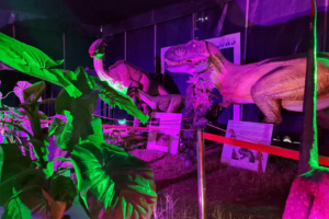 Une expo captivante arrive dans la région